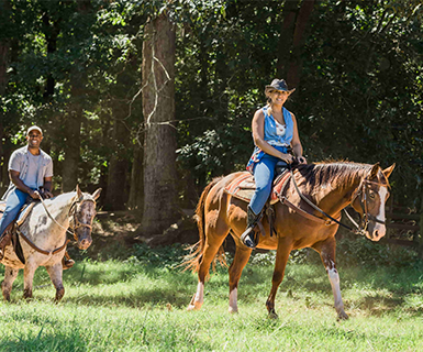 Southern Cross Guest Ranch