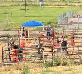 Ten Sleep RV Park, Cabins and Horse Hotel