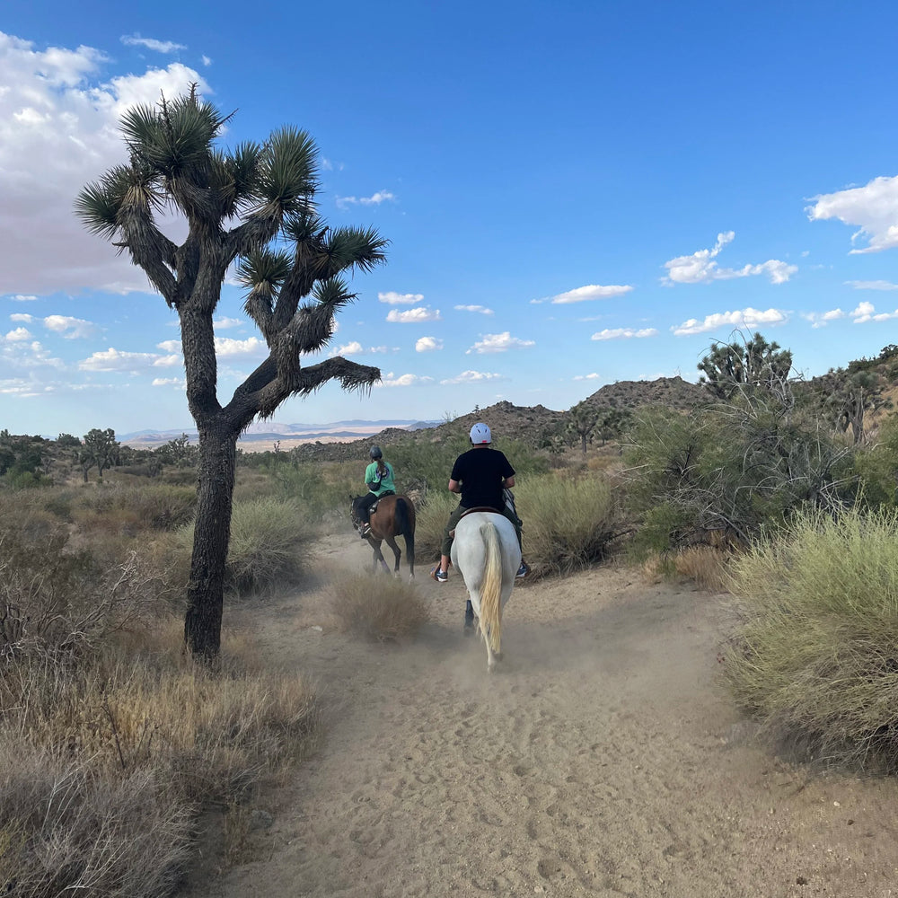 Mountain View Ranch