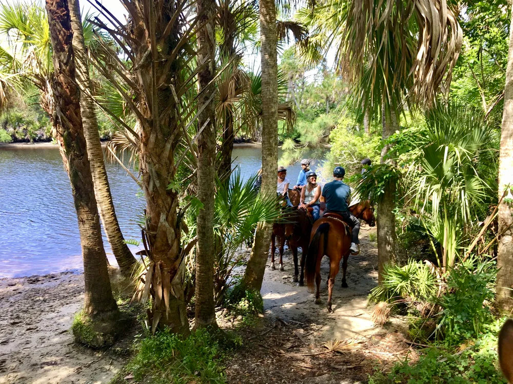 Epic Equine Experiences at Deer Prairie Creek Preserve