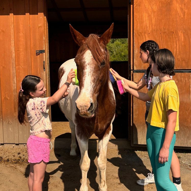 Equine Connection Center