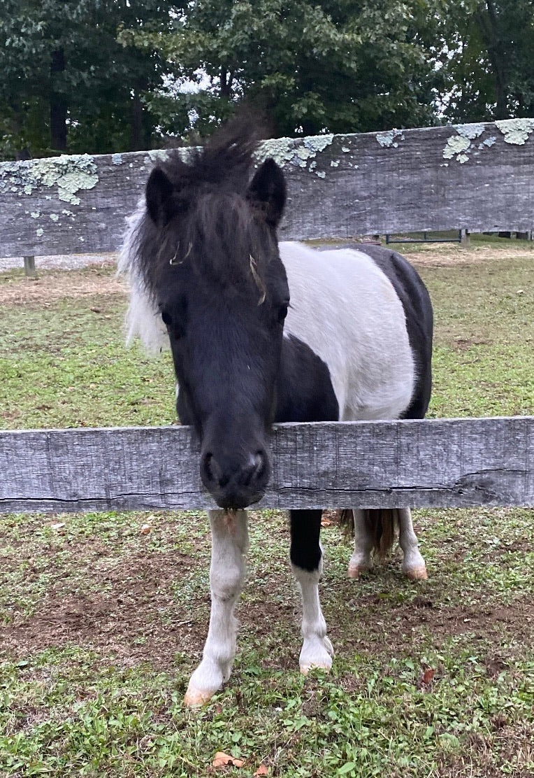 TEST - Black Brook Farms