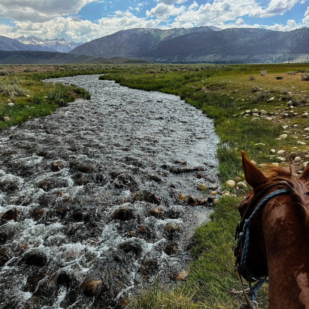 
                      
                        Hunewill Ranch
                      
                    
