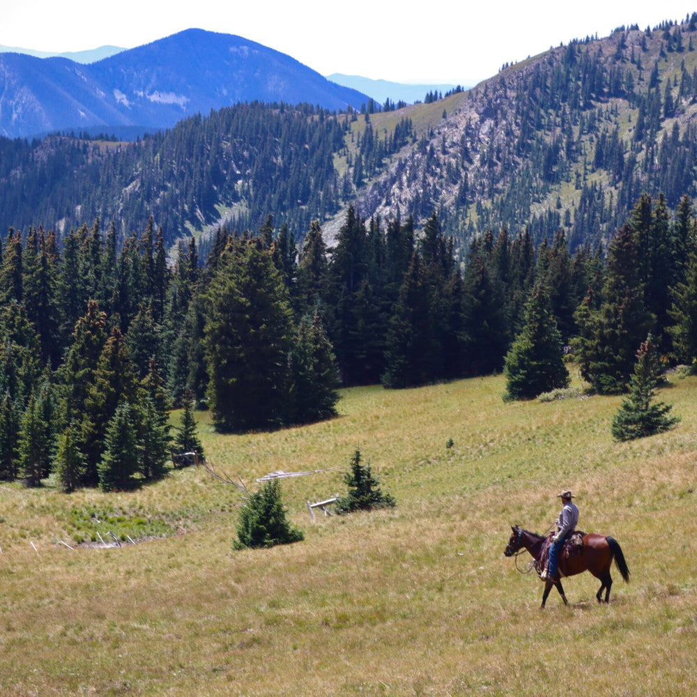 
                      
                        Rio Grande Stables
                      
                    