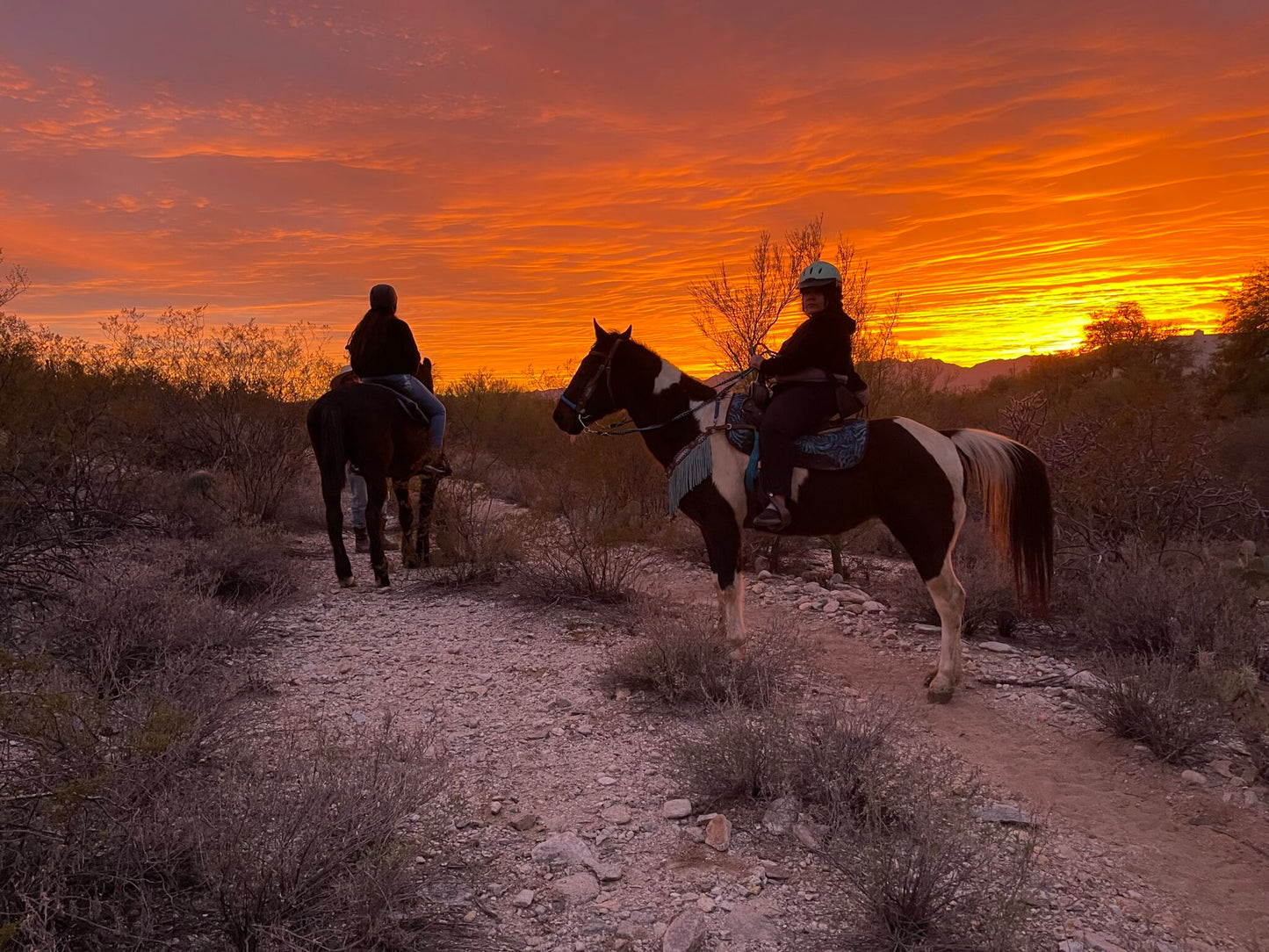 Catalina Riding Club
