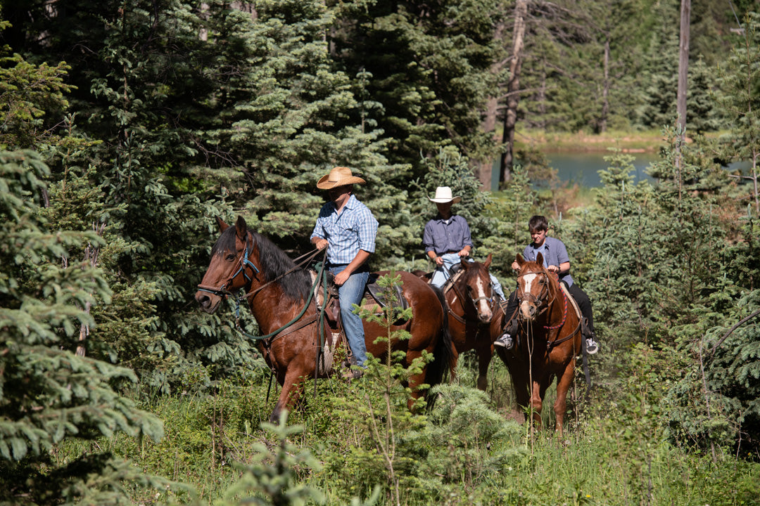 Old Stage Riding Stables