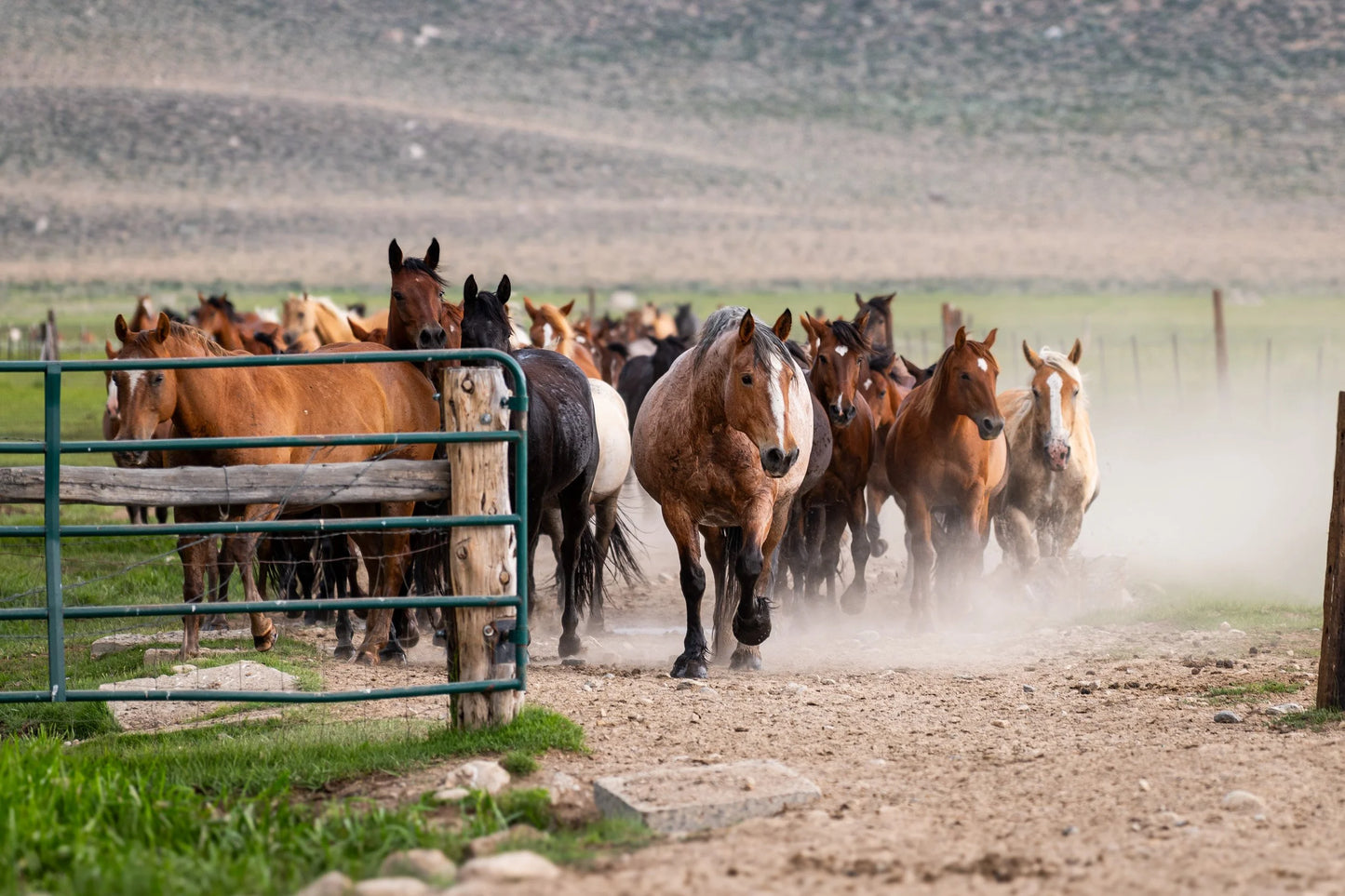 Hunewill Ranch