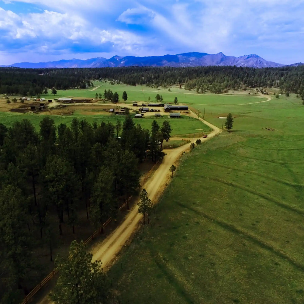 M Lazy C Guest Ranch and Campground