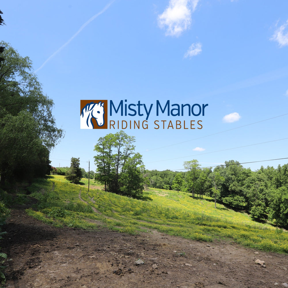 Misty Manor Riding Stables