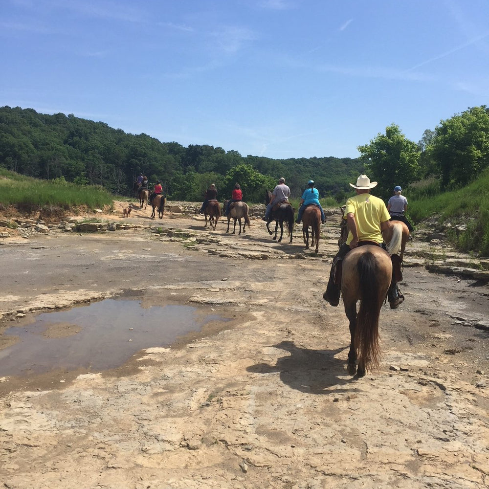 Bear Branch Horse Resort