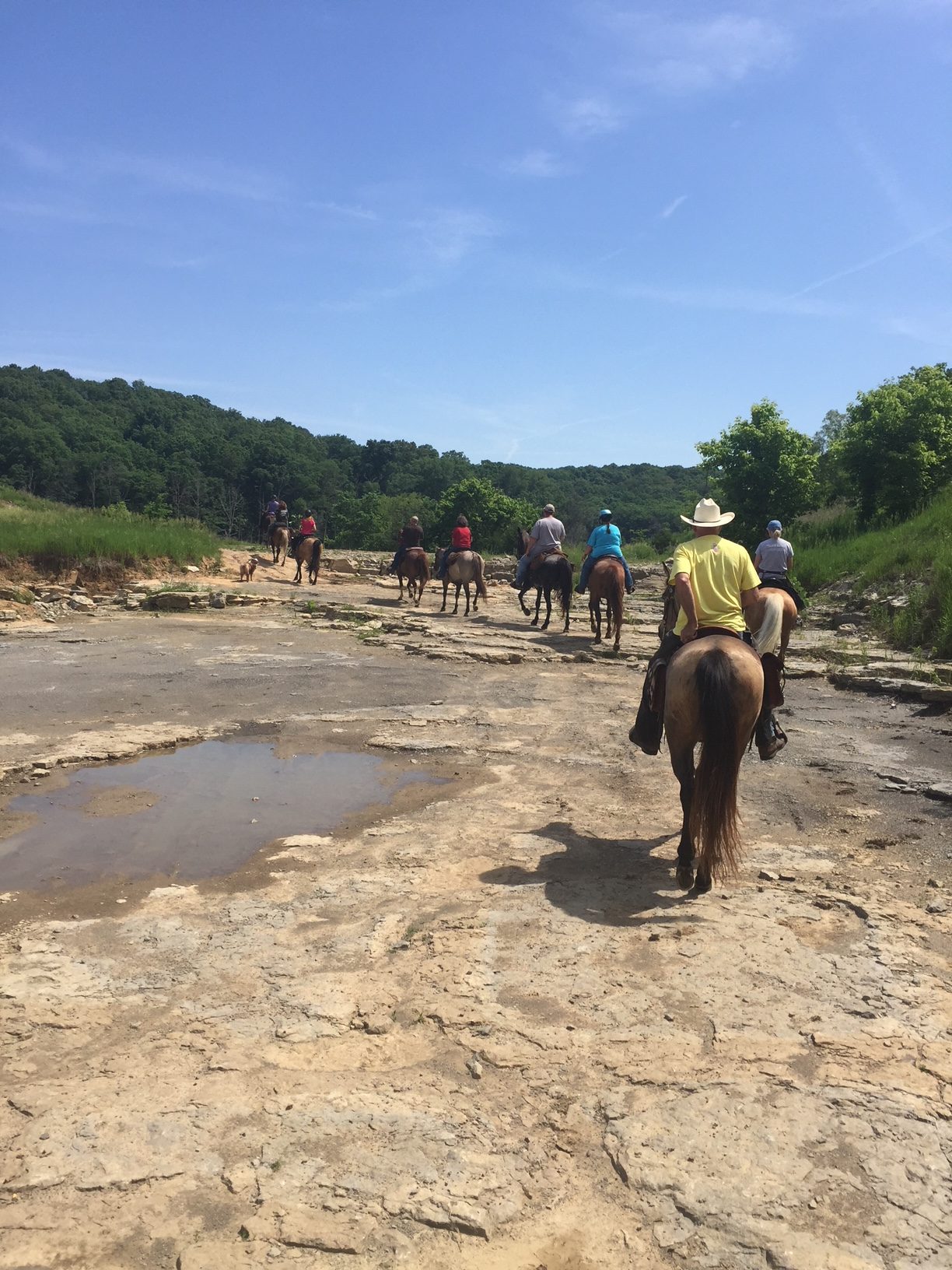Bear Branch Horse Resort