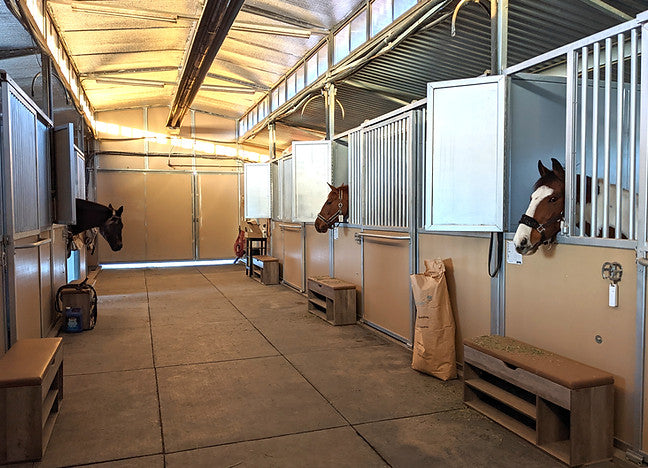 Horse Haven Ranch