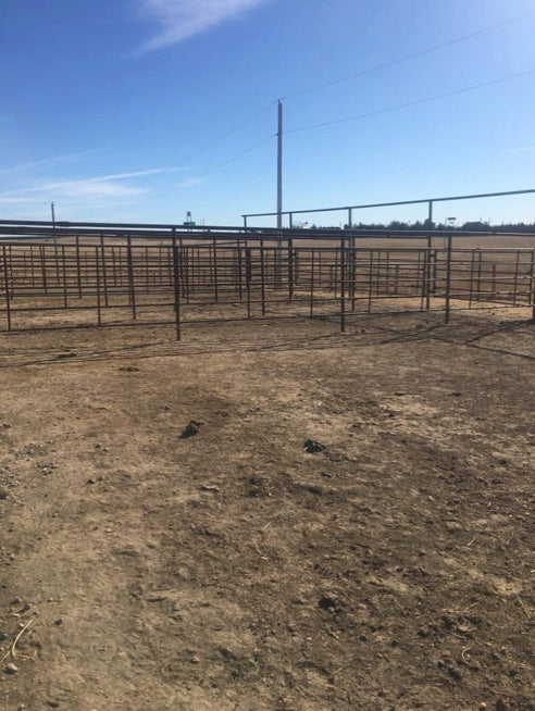 North Fork Horse Ranch