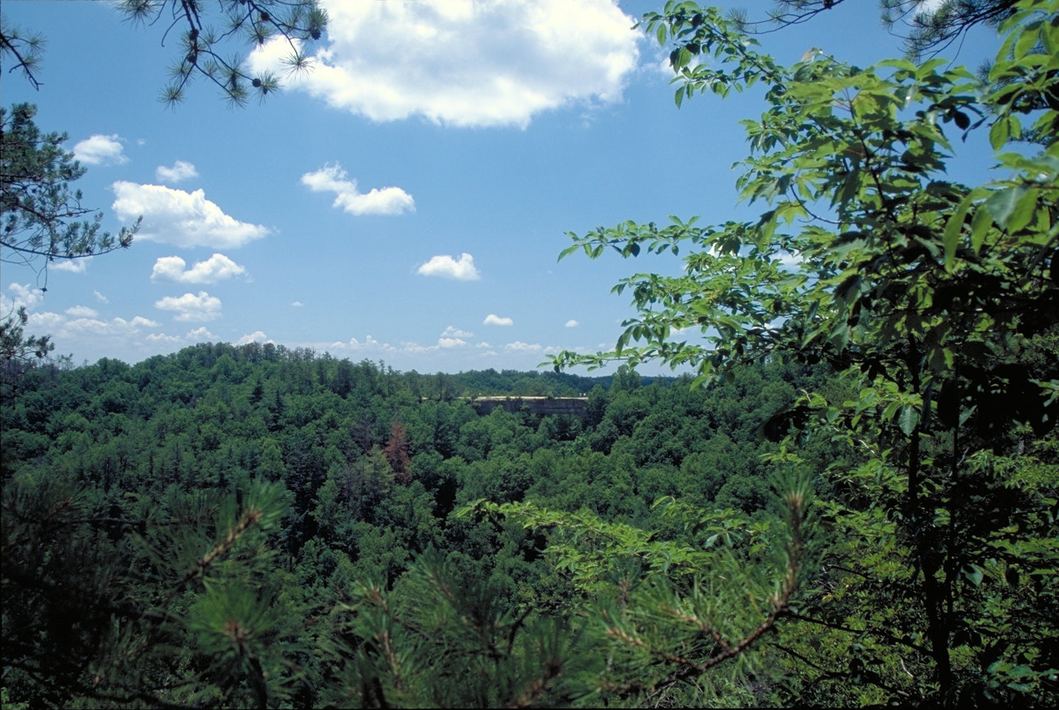 Kentucky