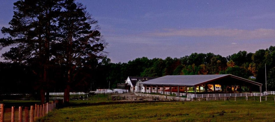 Saddletree Stables