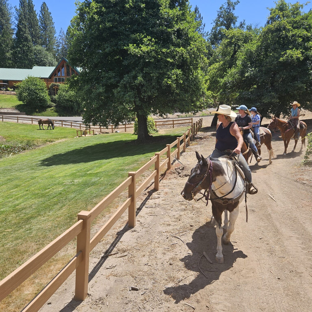Saluti Horse Adventures