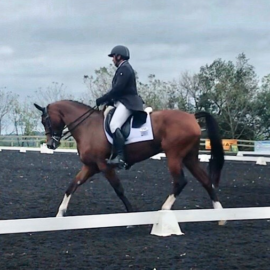 
                      
                        Kingfisher Park Equestrian
                      
                    