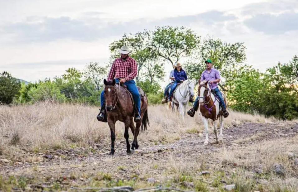 
                      
                        Cibolo Creek Ranch, Marfa Texas
                      
                    