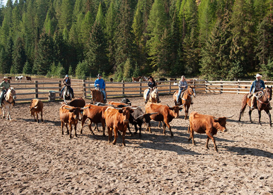 Bar W Guest Ranch – Whitefish, MT