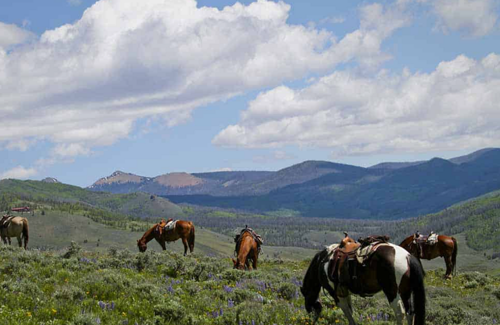 
                      
                        C Lazy U Ranch – Granby, CO
                      
                    