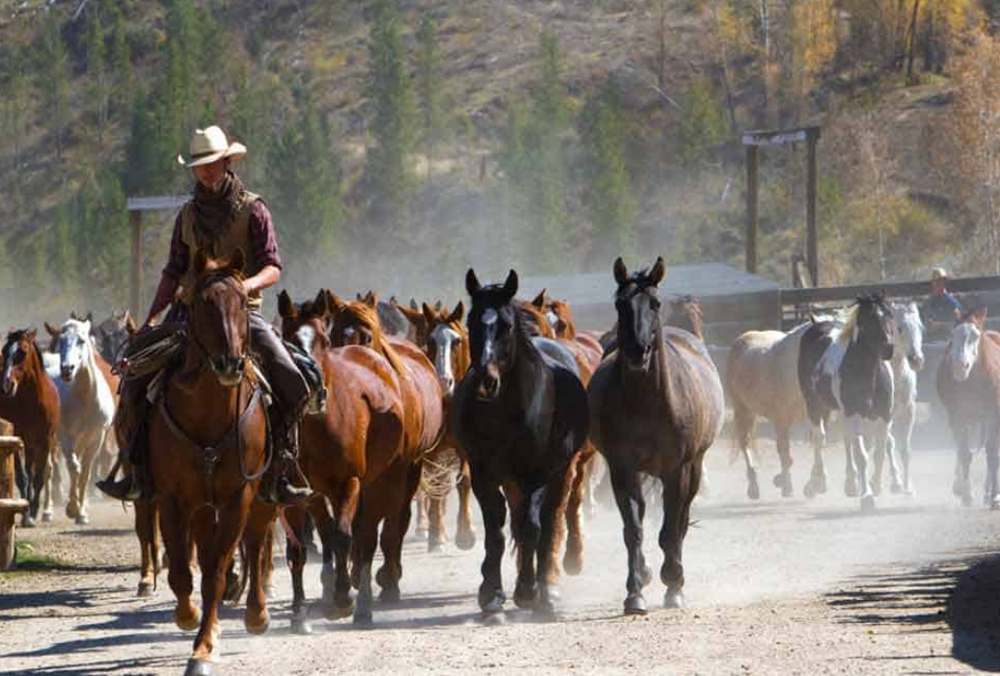 
                      
                        C Lazy U Ranch – Granby, CO
                      
                    