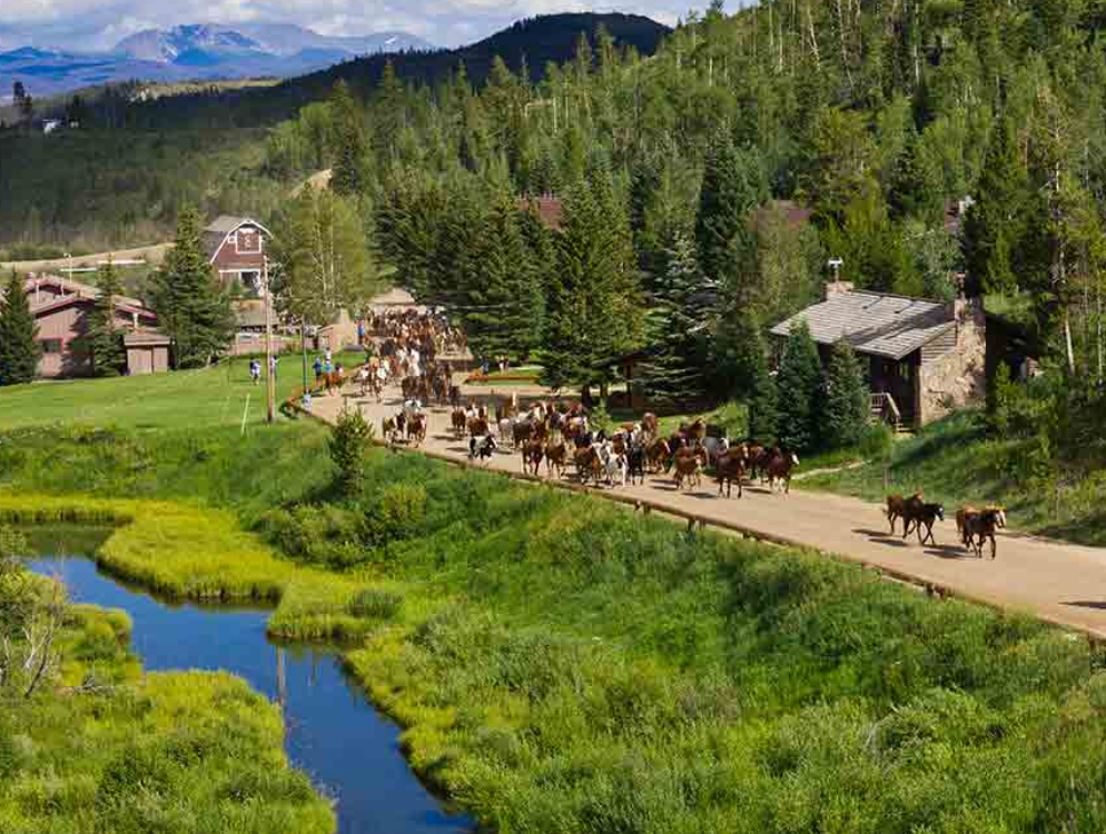 
                      
                        C Lazy U Ranch – Granby, CO
                      
                    
