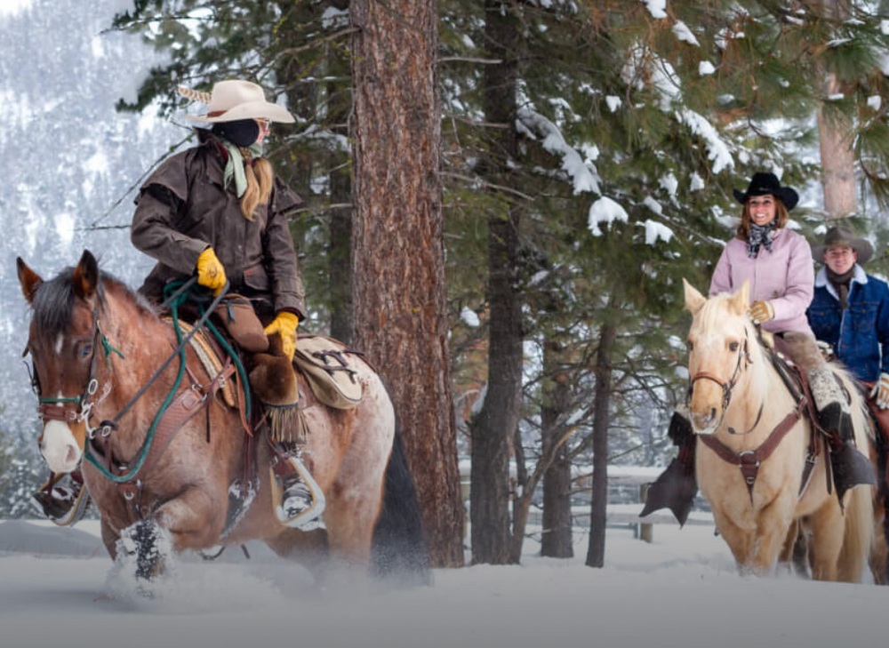 
                      
                        Triple Creek Ranch – Darby, MT
                      
                    