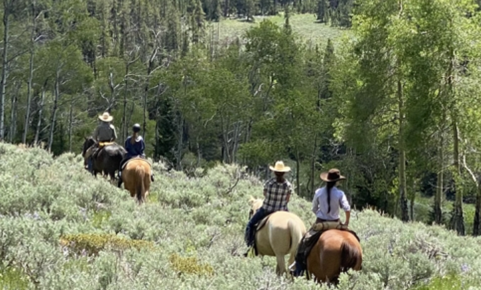 
                      
                        The Hideout Lodge & Guest Ranch – Shell, WY
                      
                    