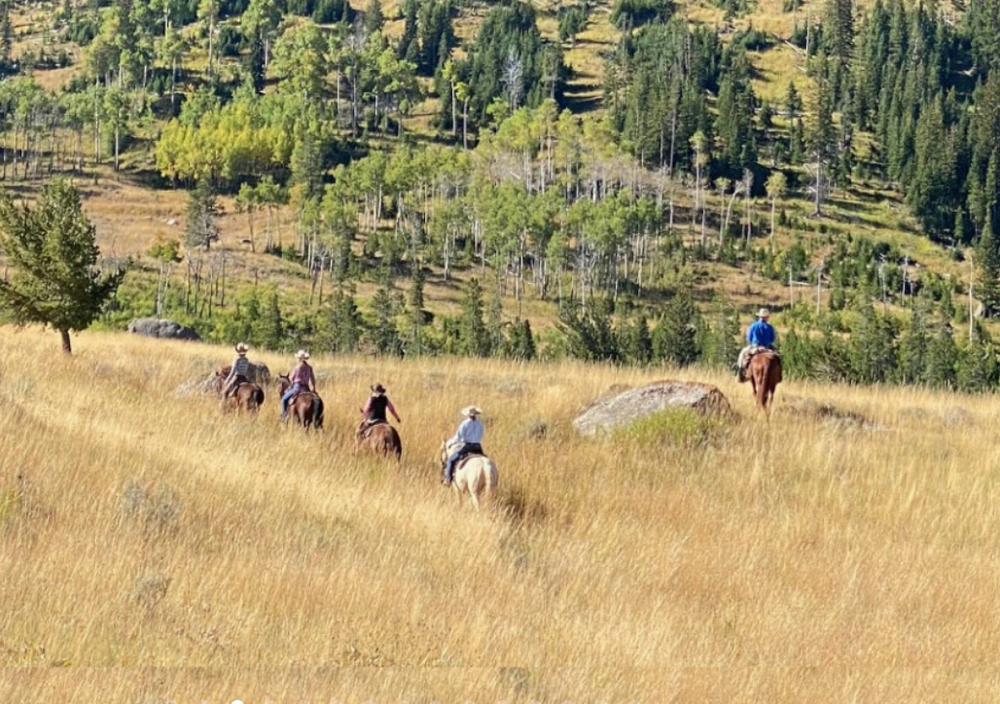 
                      
                        The Hideout Lodge & Guest Ranch – Shell, WY
                      
                    