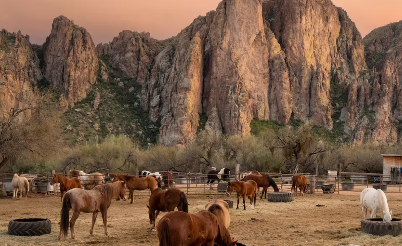 Sagaro Lake Guest Ranch