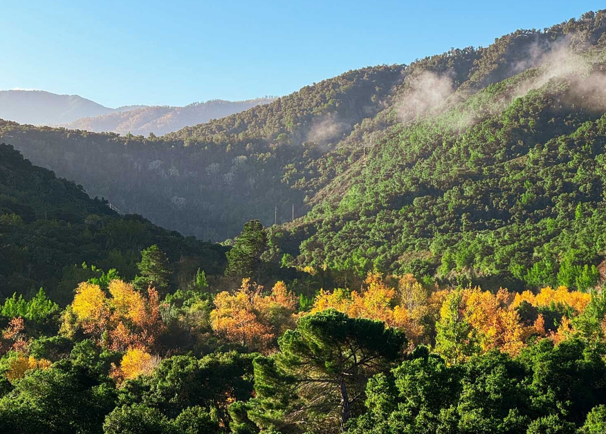 Stonepine Estate – Carmel Valley, CA