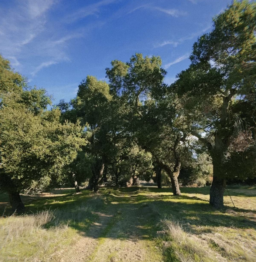 
                      
                        Stonepine Estate – Carmel Valley, CA
                      
                    