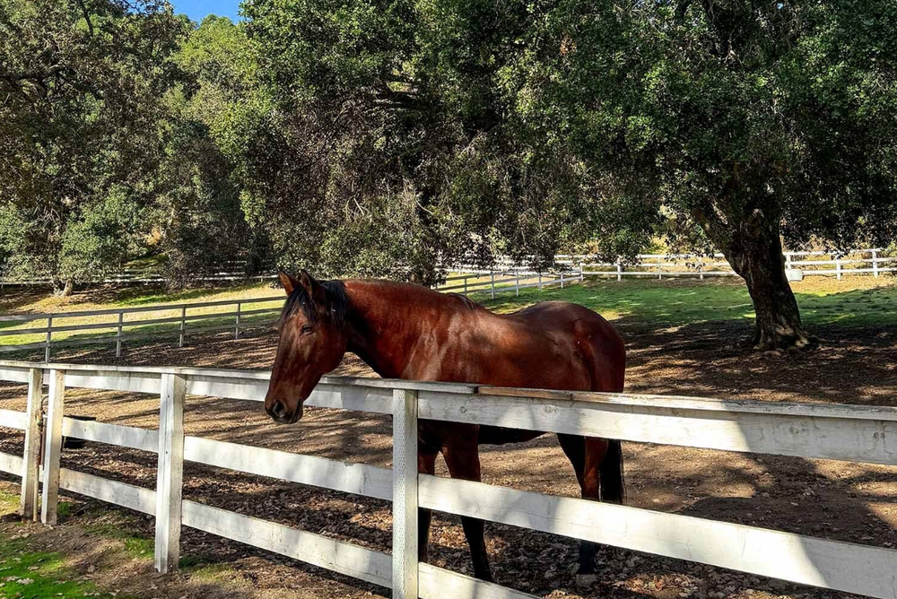 
                      
                        Stonepine Estate – Carmel Valley, CA
                      
                    