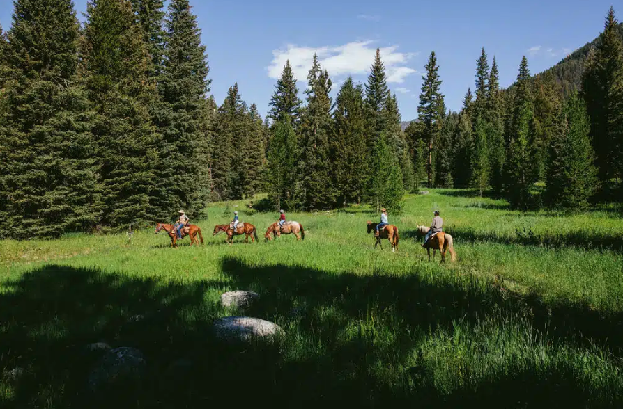 
                      
                        Lone Mountain Ranch – Big Sky, MT
                      
                    
