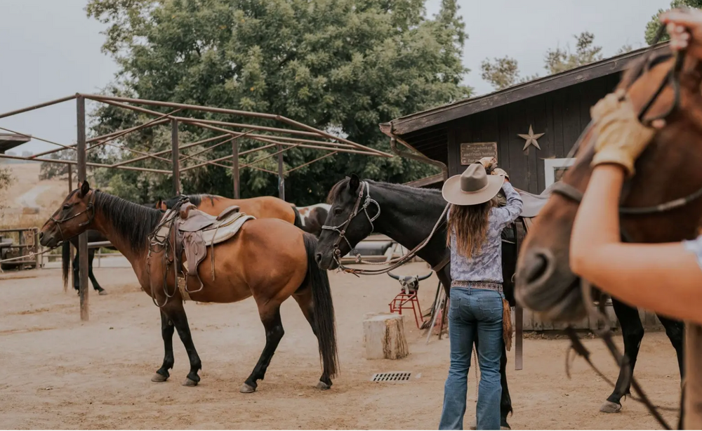 
                      
                        The Alisal Ranch – Solvang, CA
                      
                    