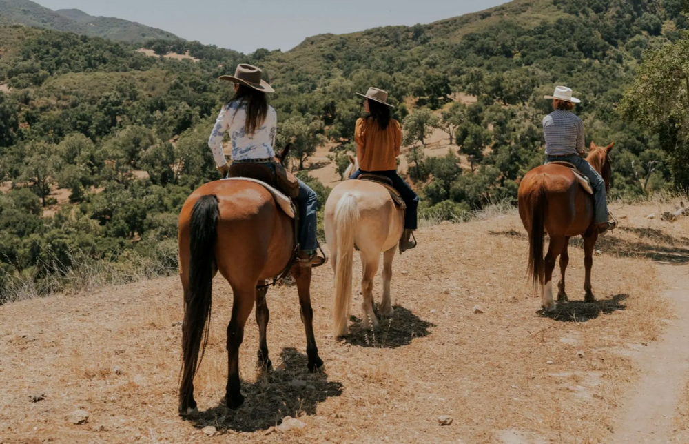 
                      
                        The Alisal Ranch – Solvang, CA
                      
                    
