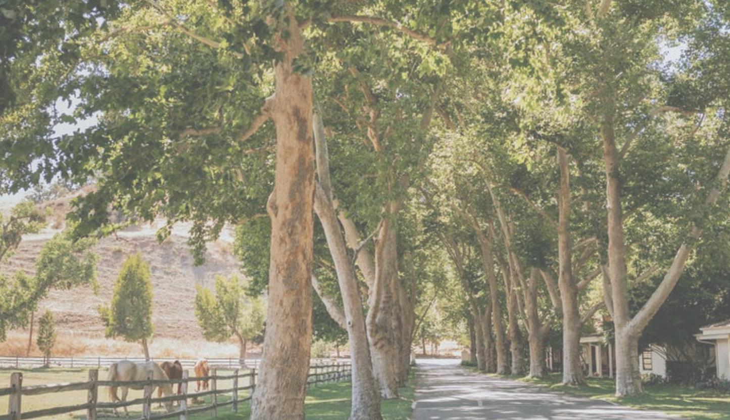 The Alisal Ranch – Solvang, CA