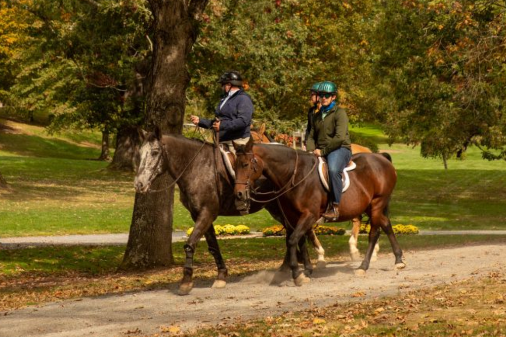 The Greenbrier – White Sulphur Springs, WV