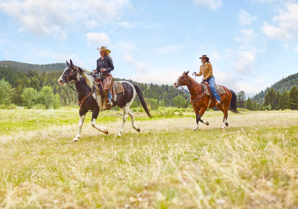
                      
                        The Ranch at Rock Creek – Philipsburg, MT
                      
                    