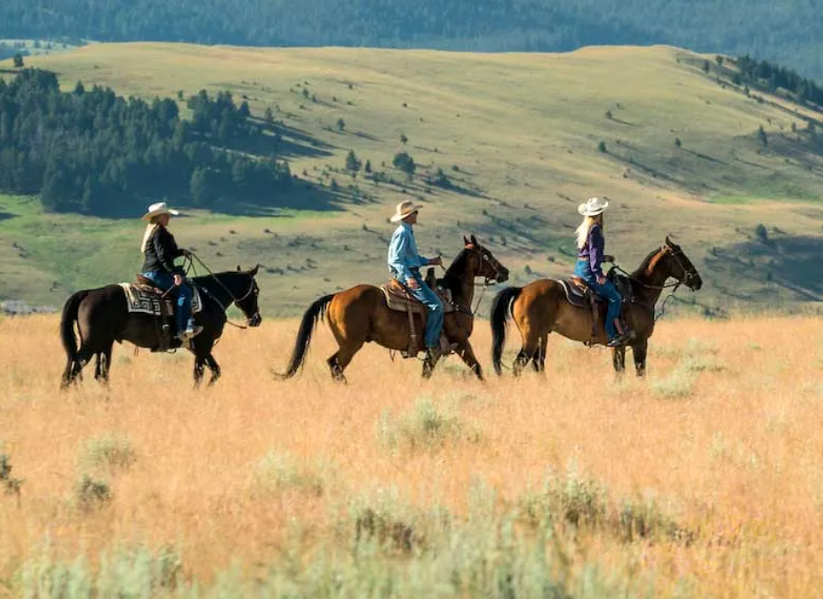 
                      
                        The Ranch at Rock Creek – Philipsburg, MT
                      
                    