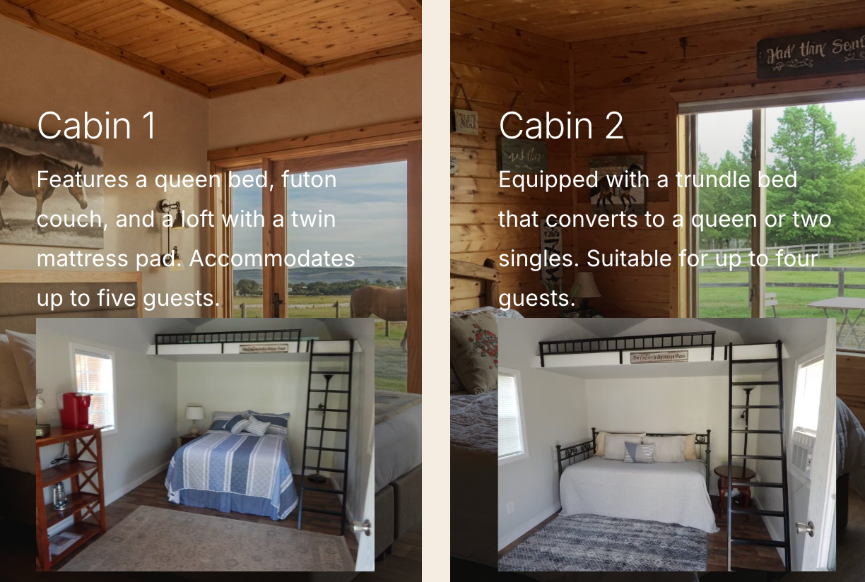 Bird's Nest Bunkies & Barn LLC