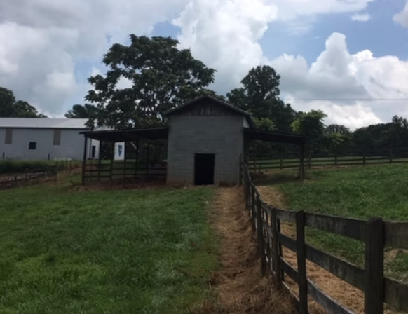 Mt Airy Horse Stables