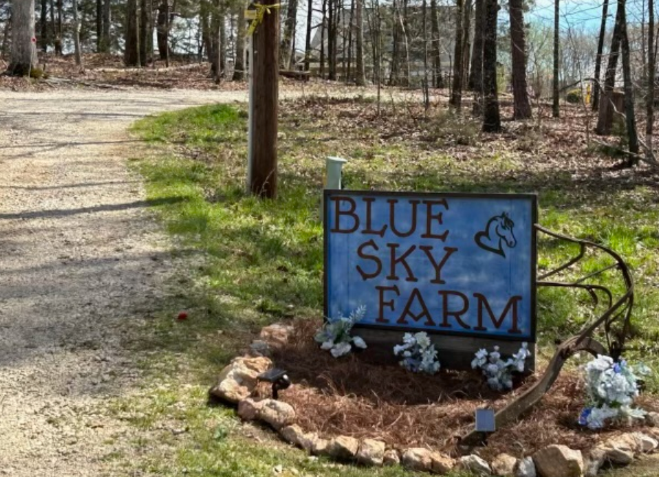 
                      
                        Blue Sky Farm Equestrian Bed & Breakfast
                      
                    