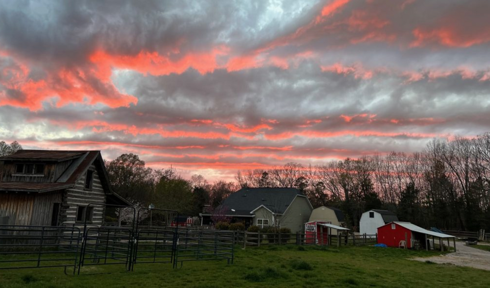 
                      
                        Blue Sky Farm Equestrian Bed & Breakfast
                      
                    