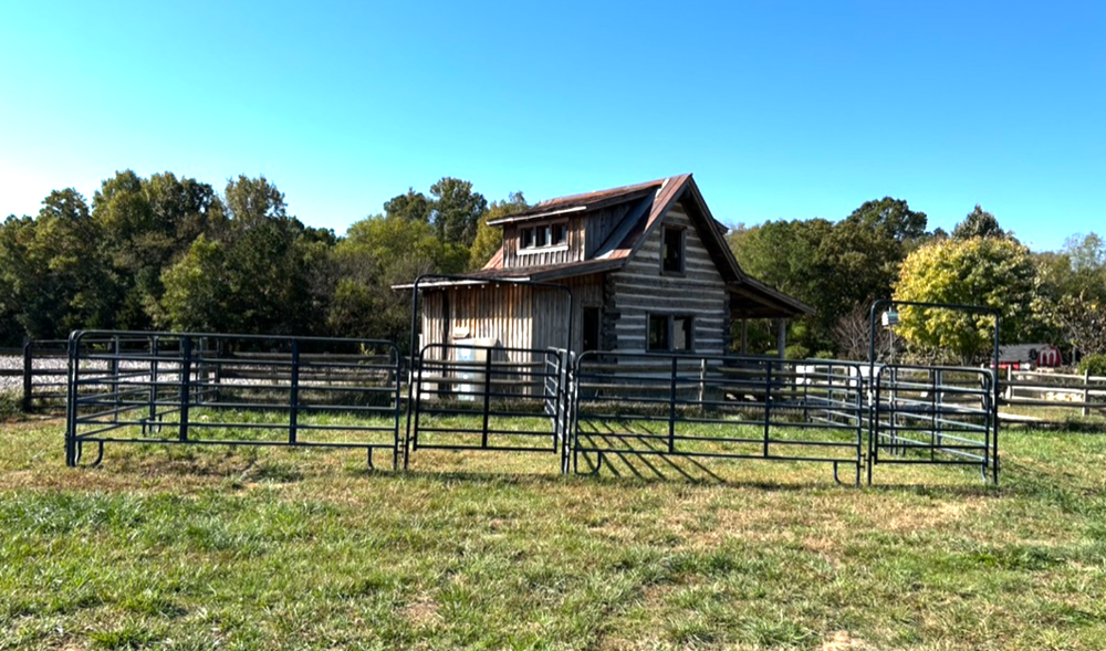 Blue Sky Farm Equestrian Bed & Breakfast