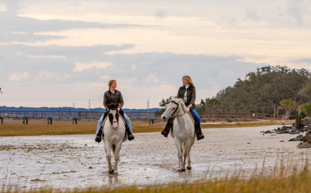 
                      
                        Camelot Farms Equestrian Center
                      
                    