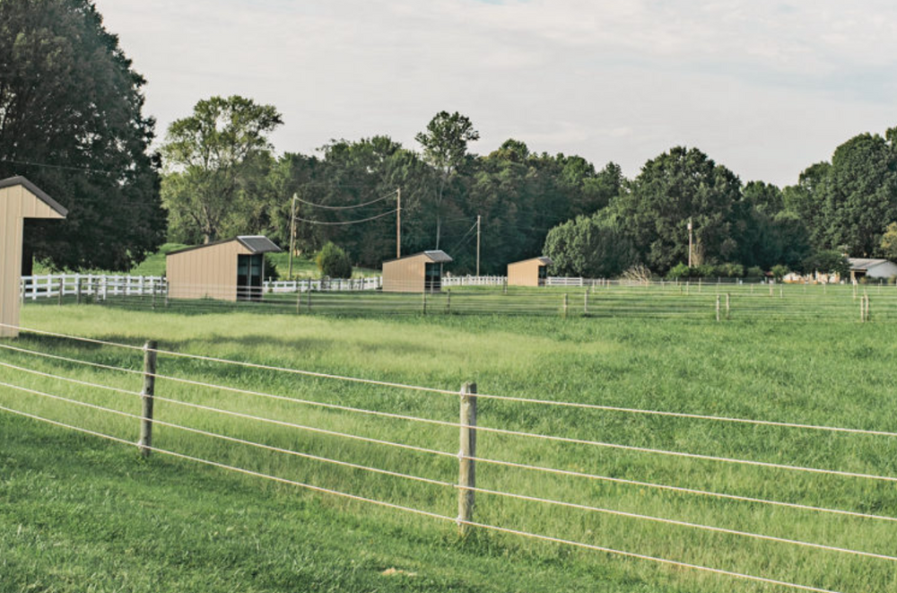 
                      
                        Kingfisher Park Equestrian
                      
                    
