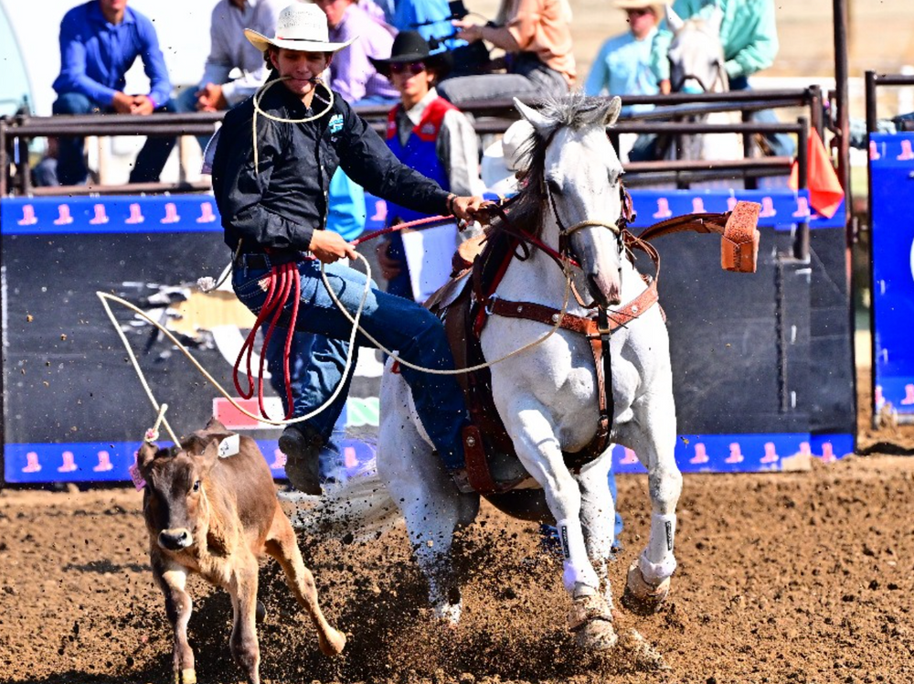 Old Spanish Trail Arena