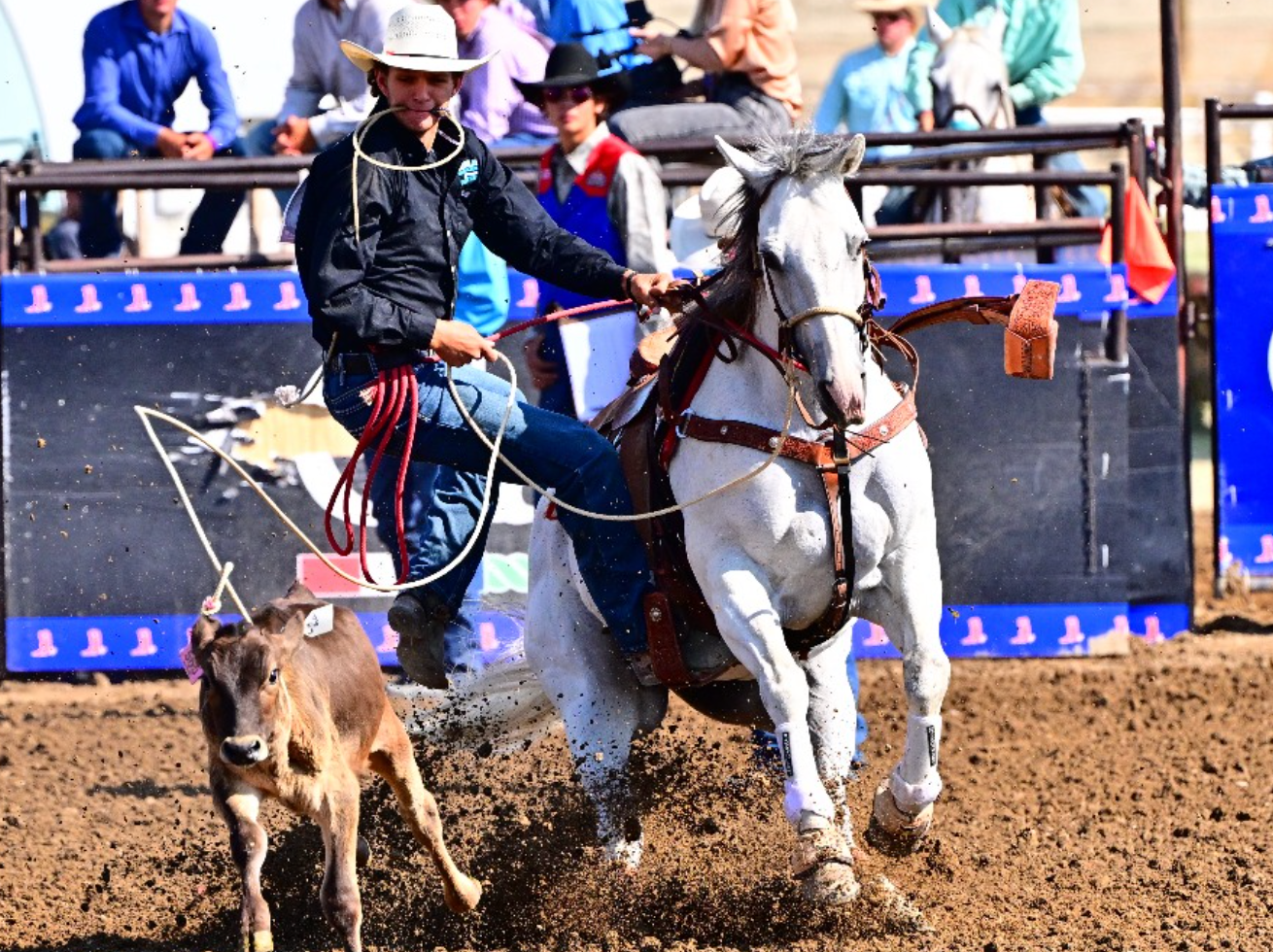 Old Spanish Trail Arena