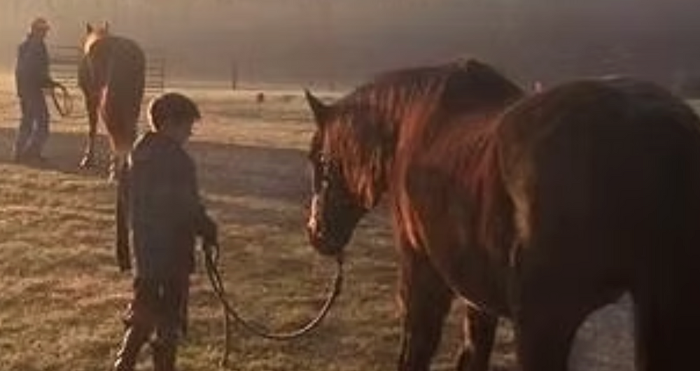 
                      
                        Horse'n Around Acres
                      
                    